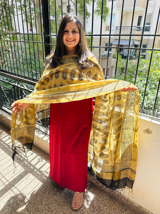 Maroon modal silk kurta with chanderi coin butti handcrafted chanderi silk dupatta with zari border cbs-84