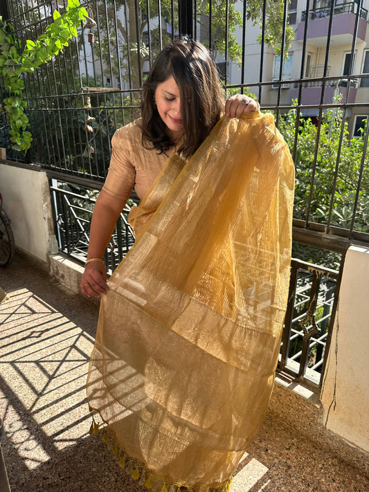 Mango yellow banarasi zari crushed tissue sari