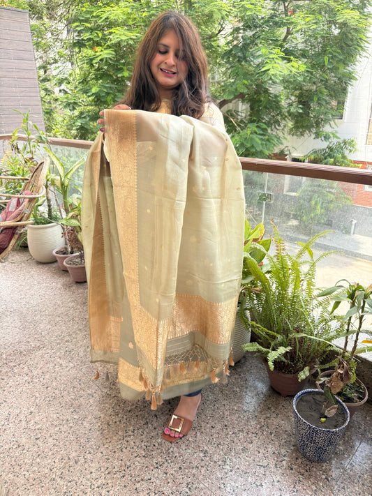Muted sage green kora silk certified handloom banarsi kadwa booti three piece suit
